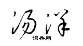 梁錦英湯洋草書個性簽名怎么寫