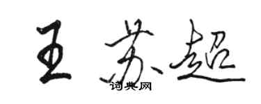 駱恆光王蘇超行書個性簽名怎么寫