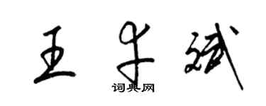 梁錦英王幸斌草書個性簽名怎么寫