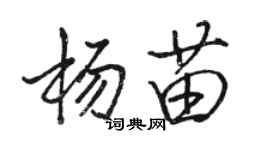 駱恆光楊苗行書個性簽名怎么寫