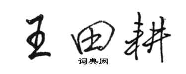 駱恆光王田耕行書個性簽名怎么寫