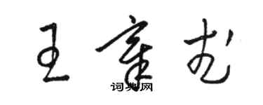 駱恆光王章武草書個性簽名怎么寫