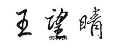 駱恆光王望晴行書個性簽名怎么寫