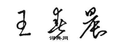 駱恆光王春晨草書個性簽名怎么寫