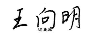 王正良王向明行書個性簽名怎么寫
