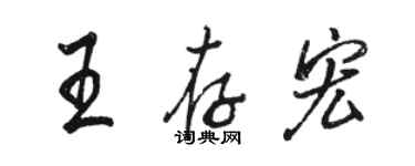 駱恆光王存宏行書個性簽名怎么寫