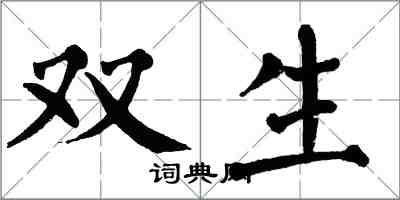 翁闓運雙生楷書怎么寫