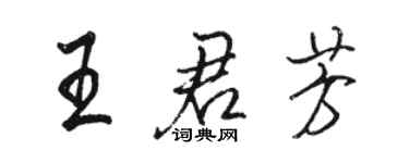 駱恆光王君芳行書個性簽名怎么寫