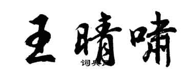 胡問遂王晴嘯行書個性簽名怎么寫