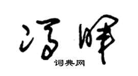 朱錫榮馮暉草書個性簽名怎么寫