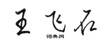 駱恆光王飛石行書個性簽名怎么寫