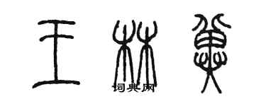 陳墨王林冀篆書個性簽名怎么寫