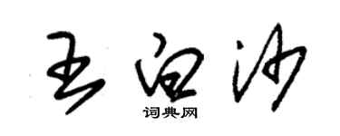 朱錫榮王白沙草書個性簽名怎么寫