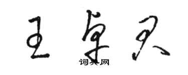 駱恆光王卓君草書個性簽名怎么寫