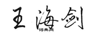 駱恆光王海劍行書個性簽名怎么寫