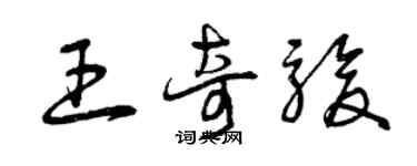 曾慶福王奇駿草書個性簽名怎么寫