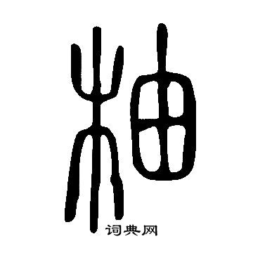 說文解字寫的柚