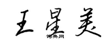 王正良王星美行書個性簽名怎么寫