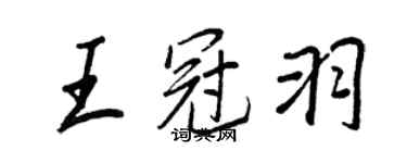 王正良王冠羽行書個性簽名怎么寫