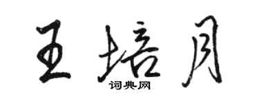 駱恆光王培月行書個性簽名怎么寫