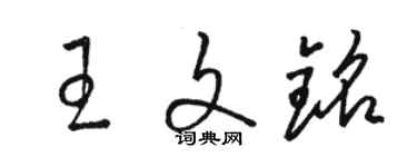 駱恆光王文銘草書個性簽名怎么寫