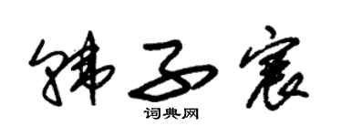 朱錫榮韓子宸草書個性簽名怎么寫