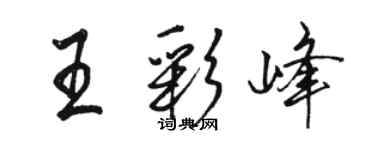 駱恆光王彩峰行書個性簽名怎么寫