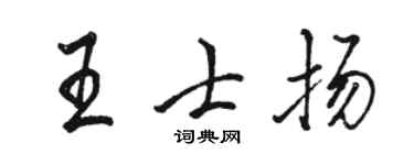 駱恆光王士揚行書個性簽名怎么寫