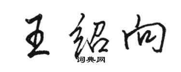 駱恆光王紹向行書個性簽名怎么寫