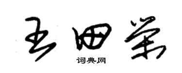 朱錫榮王田榮草書個性簽名怎么寫