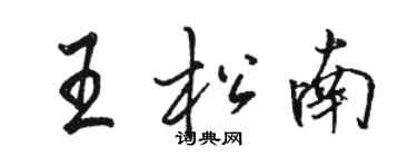 駱恆光王松南行書個性簽名怎么寫