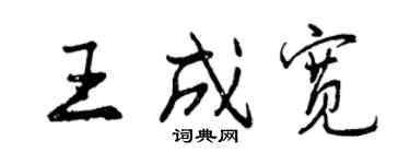 曾慶福王成寬行書個性簽名怎么寫