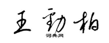 梁錦英王勁柏草書個性簽名怎么寫