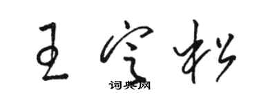 駱恆光王定松草書個性簽名怎么寫