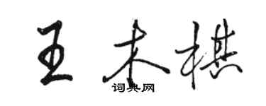 駱恆光王木棋行書個性簽名怎么寫