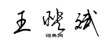 梁錦英王映斌草書個性簽名怎么寫