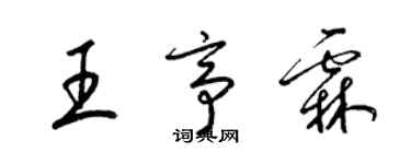 梁錦英王亭霖草書個性簽名怎么寫