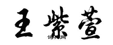 胡問遂王紫萱行書個性簽名怎么寫