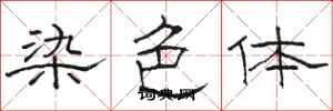 駱恆光染色體隸書怎么寫
