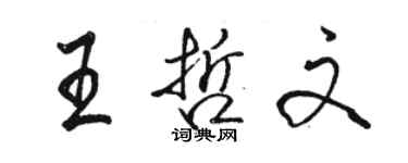 駱恆光王哲文行書個性簽名怎么寫