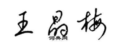 梁錦英王晶梅草書個性簽名怎么寫