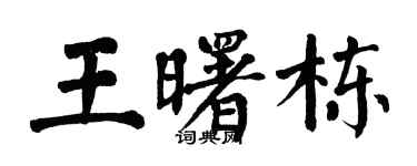翁闓運王曙棟楷書個性簽名怎么寫
