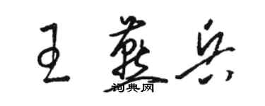 駱恆光王燕兵草書個性簽名怎么寫