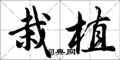 胡問遂栽植行書怎么寫