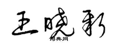 曾慶福王曉新草書個性簽名怎么寫