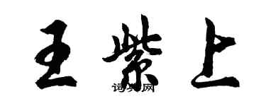 胡問遂王紫上行書個性簽名怎么寫