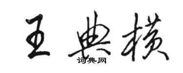 駱恆光王典橫行書個性簽名怎么寫