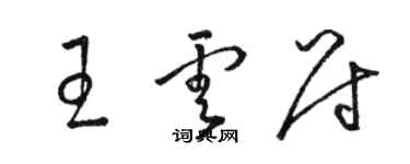 駱恆光王雲尉草書個性簽名怎么寫