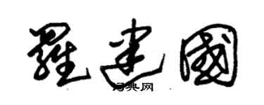 朱錫榮羅建國草書個性簽名怎么寫