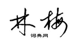 梁錦英林梅草書個性簽名怎么寫